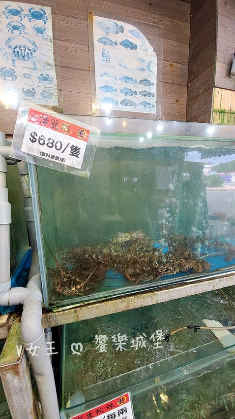 野柳望海亭海鮮餐廳｜超新鮮現撈活海鮮，活龍蝦一隻$680，現
