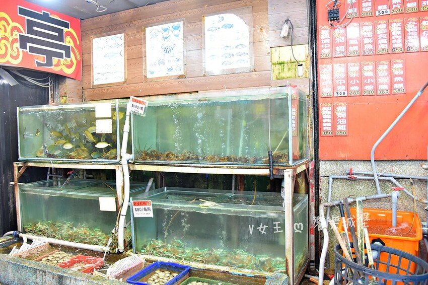 野柳望海亭海鮮餐廳｜超新鮮現撈活海鮮，活龍蝦一隻$680，現