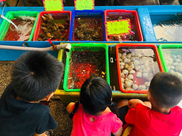 圓圓家愛吃貨-<新北野柳>望海亭海鮮餐廳，新鮮好吃聚餐首選，吃一次就上癮的美味餐廳