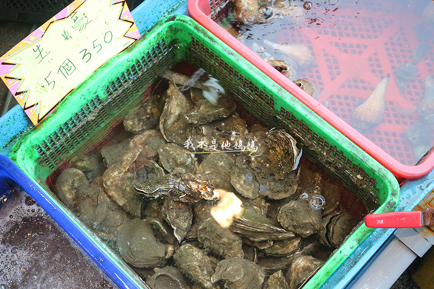 野柳風景區,海洋世界,野柳海洋世界,三嫂的店,小琉球望海亭,野柳美食,萬里 海鮮餐廳,北海岸海鮮,阿 雪 海鮮 熱 炒,北海岸現撈海鮮