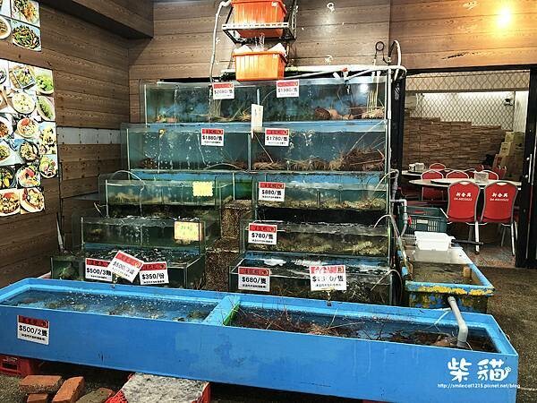 IMG_3582.jpg IMG_3582.jpg