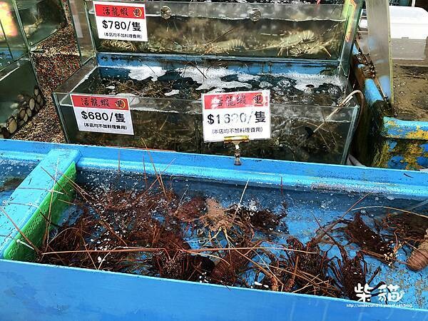 IMG_3583.jpg IMG_3583.jpg