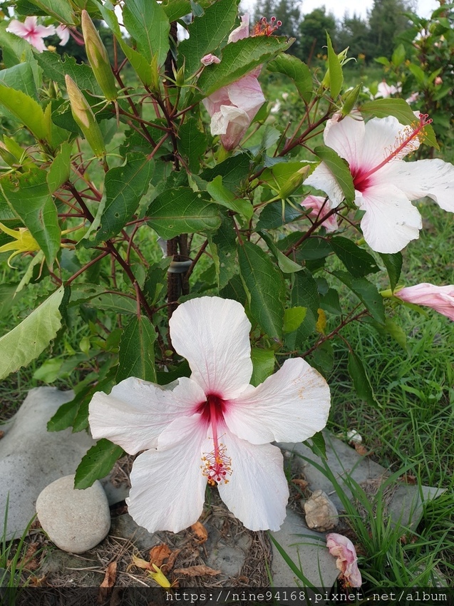 1081012cry_191013_0126.jpg 1081012cry_191013_0126.jpg