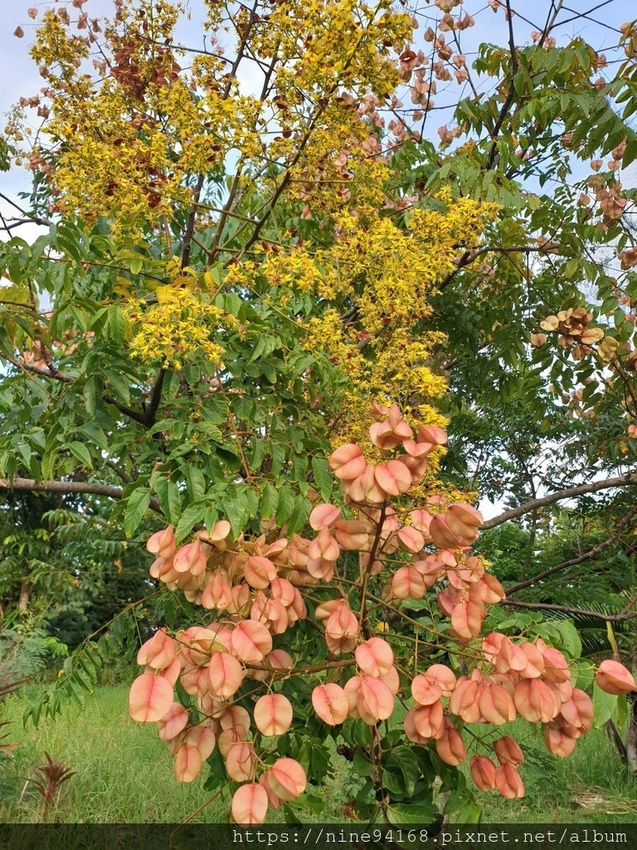 1081012cry_191013_0096.jpg 1081012cry_191013_0096.jpg