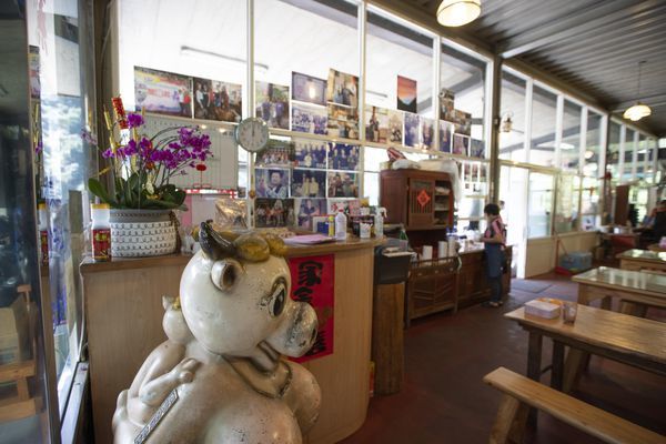 台雞店(烏來) - 14