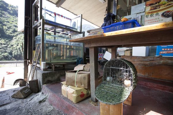 台雞店(烏來) - 17