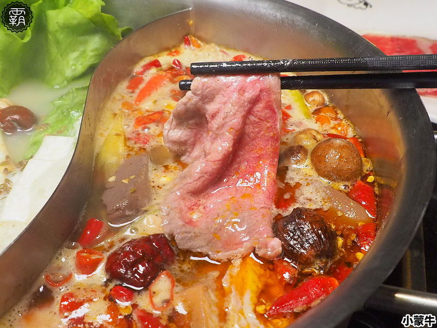 吃麻辣鍋配哈根達斯雪糕吃到飽,小蒙牛麻辣養生鍋,限定口味新上市!