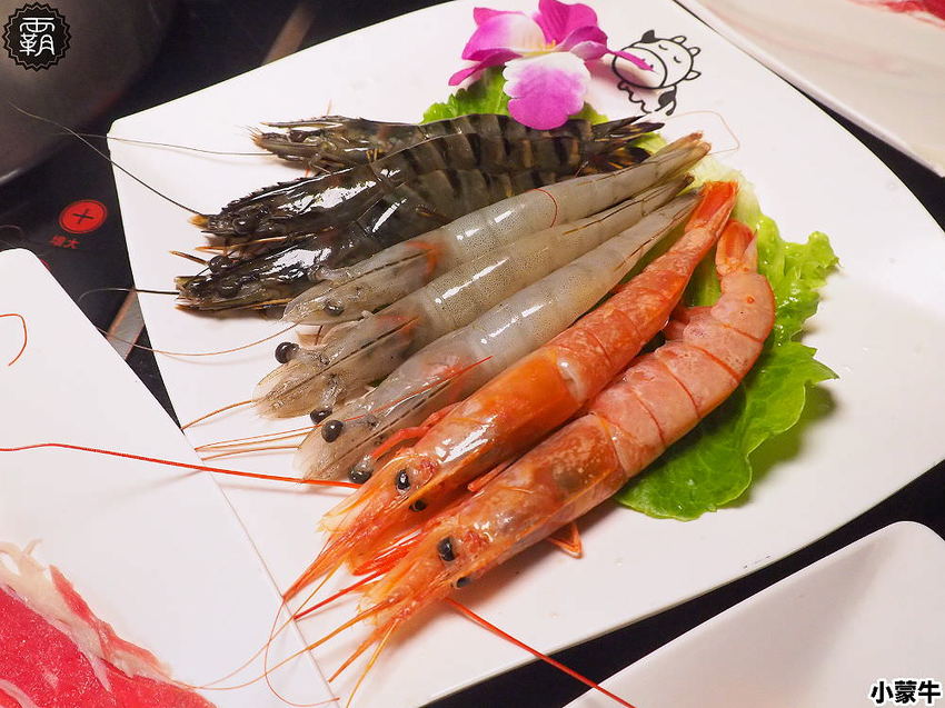 吃麻辣鍋配哈根達斯雪糕吃到飽,小蒙牛麻辣養生鍋,限定口味新上市!