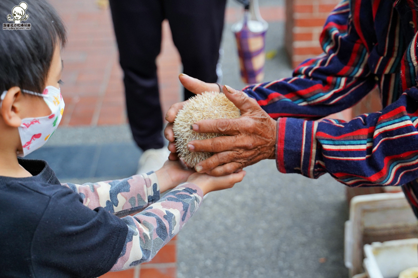 旗山老街 碧蓮 必吃 好吃 在地人推薦 美食 小吃