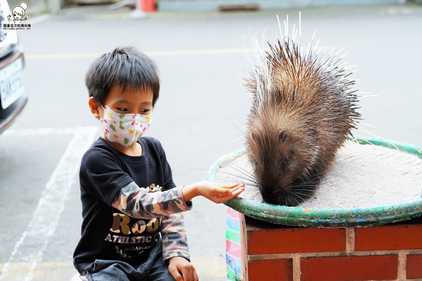 旗山老街 碧蓮 必吃 好吃 在地人推薦 美食 小吃