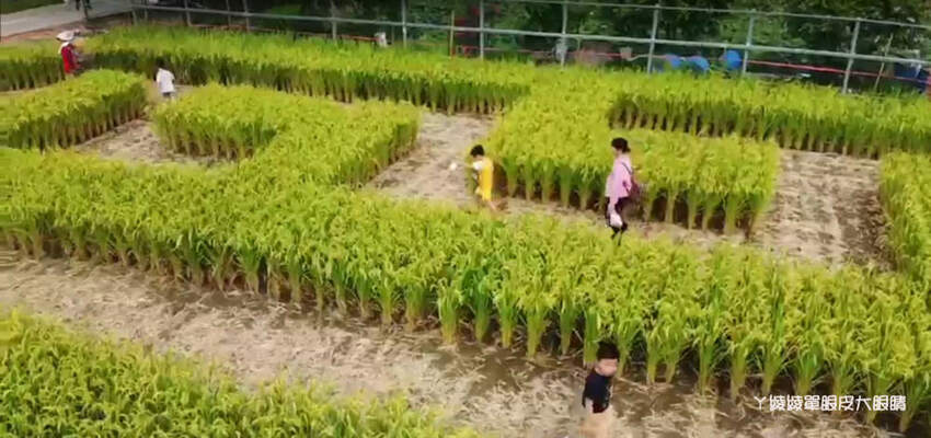 最便宜一碗牛肉麵只要九十元！竹東超人氣牛肉麵店還有自助咖啡機！新竹美食小吃推薦