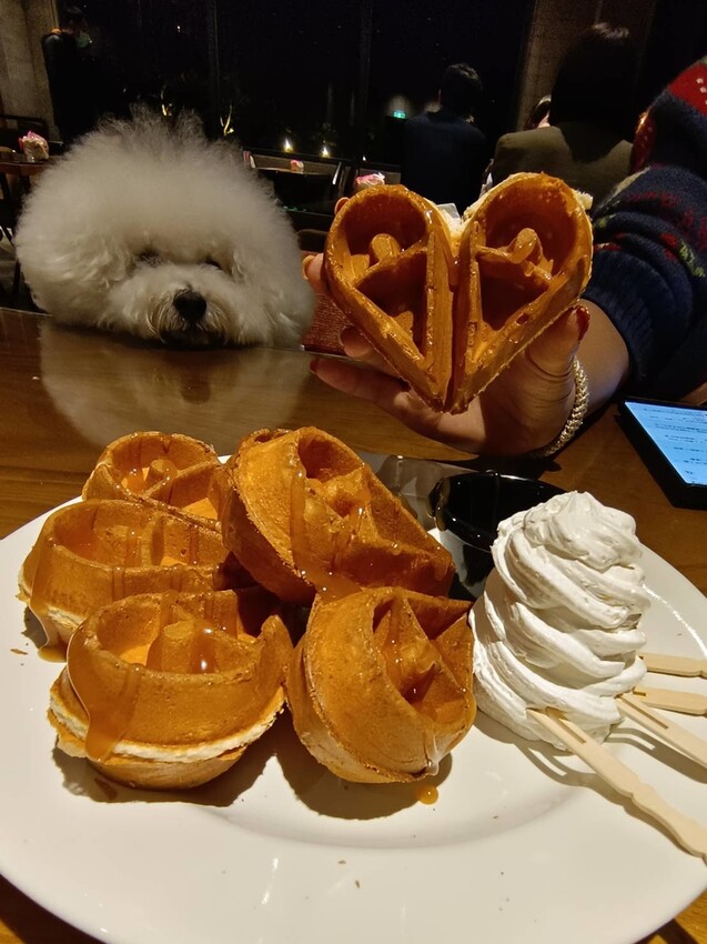 【台中.沙鹿】黑森林最美夜景+夕陽景觀餐廳。寵物友善咖啡義大利麵鬆餅燉飯餐點有一定水準