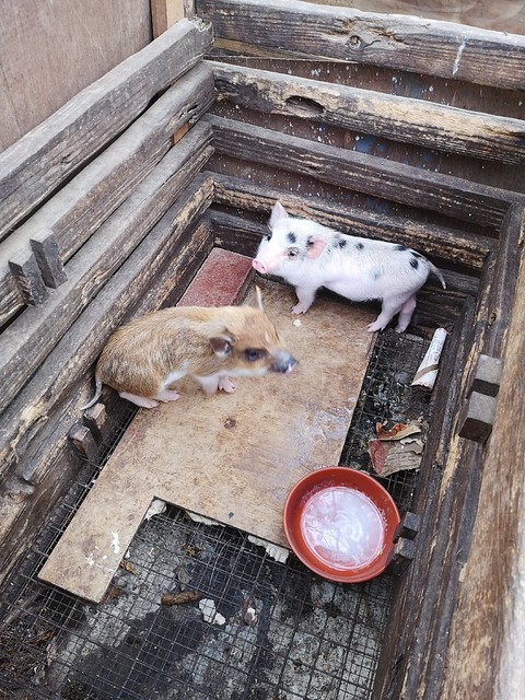 IMG_20200307_170401_mh1583684685743