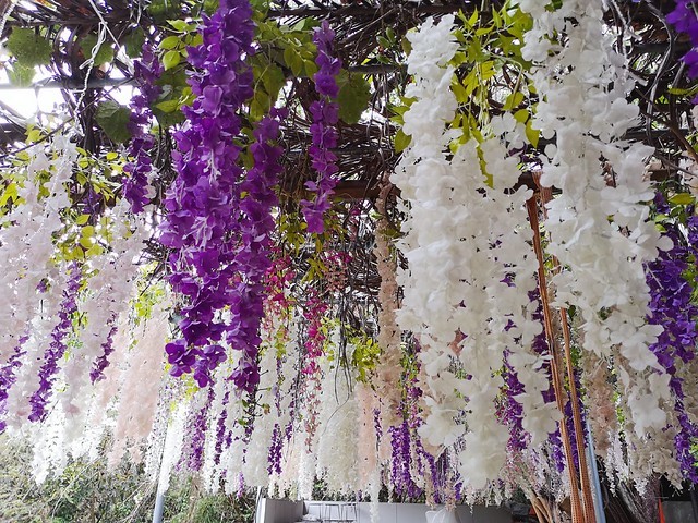 IMG_20200307_173329_mh1583685860287