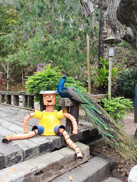 IMG_20200307_170925_mh1583684913791