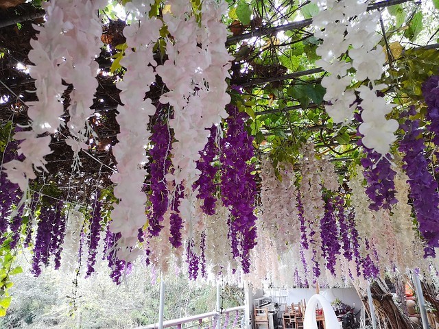 IMG_20200307_173319_mh1583685838278