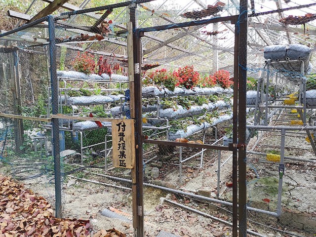 IMG_20200307_172332_mh1583685613475