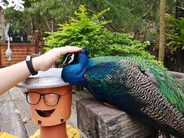 IMG_20200307_171517_mh1583685403745