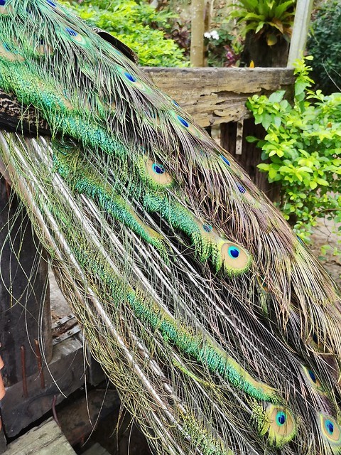 IMG_20200307_171526_mh1583685424177