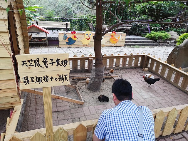 IMG_20200307_170154_mh1583684638077