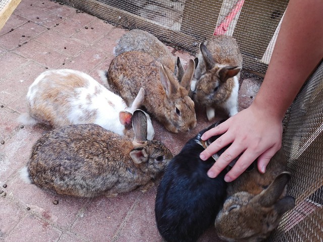 IMG_20200307_170534_mh1583684891312