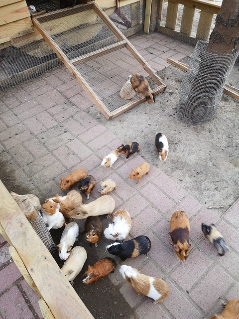 IMG_20200307_170228_mh1583684664383