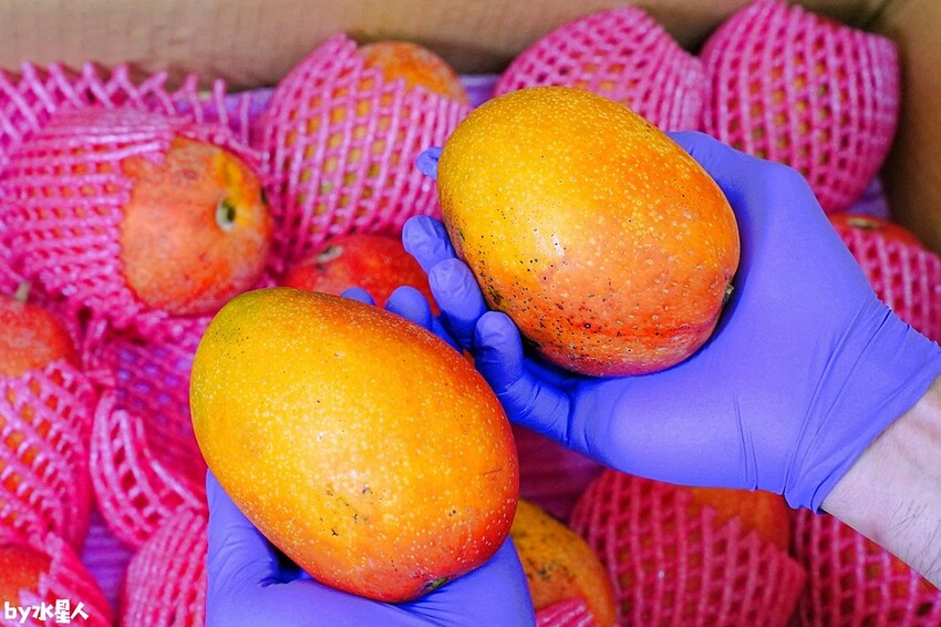 練勤堂 台中芒果寶盒蛋糕 沙鹿生日蛋糕