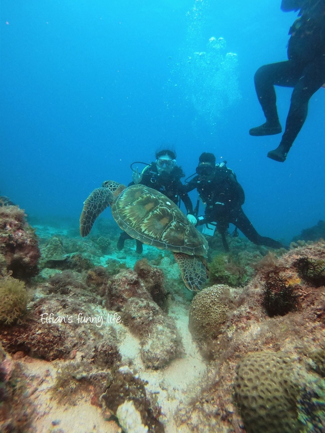 小琉球diving 居琉潛水體驗
