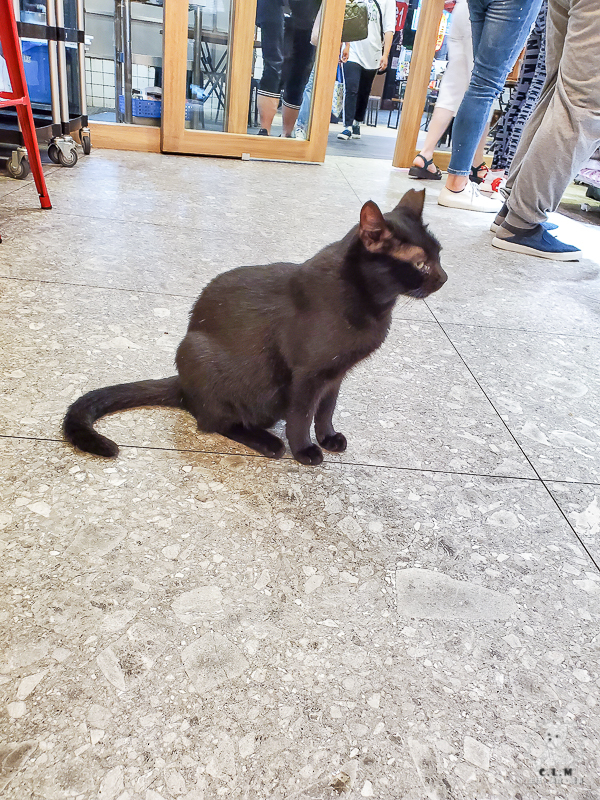 小王煮瓜｜不是老王賣瓜，鹹甜清香的米其林必比登推薦小吃