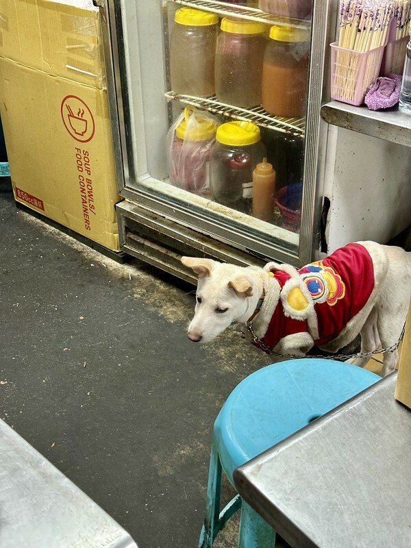 花蓮縣玉里鎮花蓮美食｜玉里橋頭臭豆腐本店，終於造訪了傳說中超美味臭豆腐！！！（花蓮旅遊/台灣小吃）