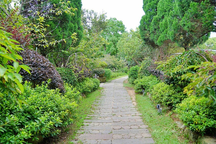 【苗栗】卓蘭|寨酌然 野奢庄園,弍寓奢華頂級Villa,直接住在森林裡,蟲鳴鳥叫自然生態野營區推薦