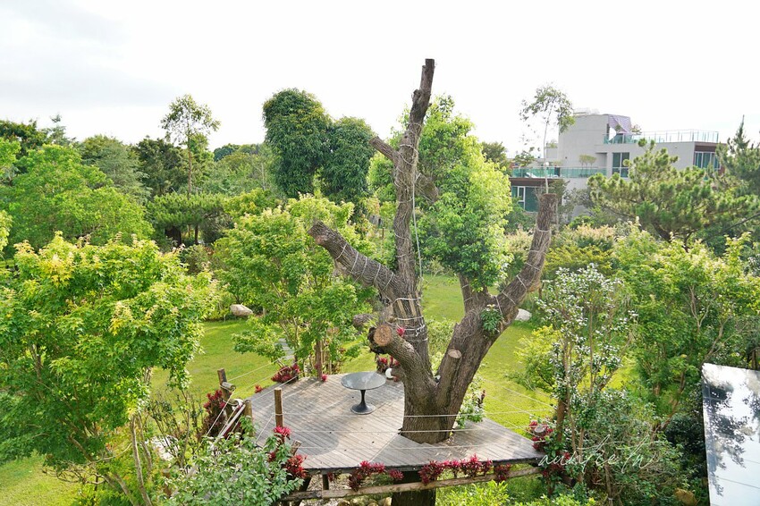 【苗栗】卓蘭|寨酌然 野奢庄園,弍寓奢華頂級Villa,直接住在森林裡,蟲鳴鳥叫自然生態野營區推薦