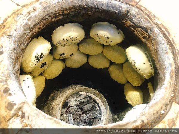 202044_200405_0011.jpg 202044_200405_0011.jpg