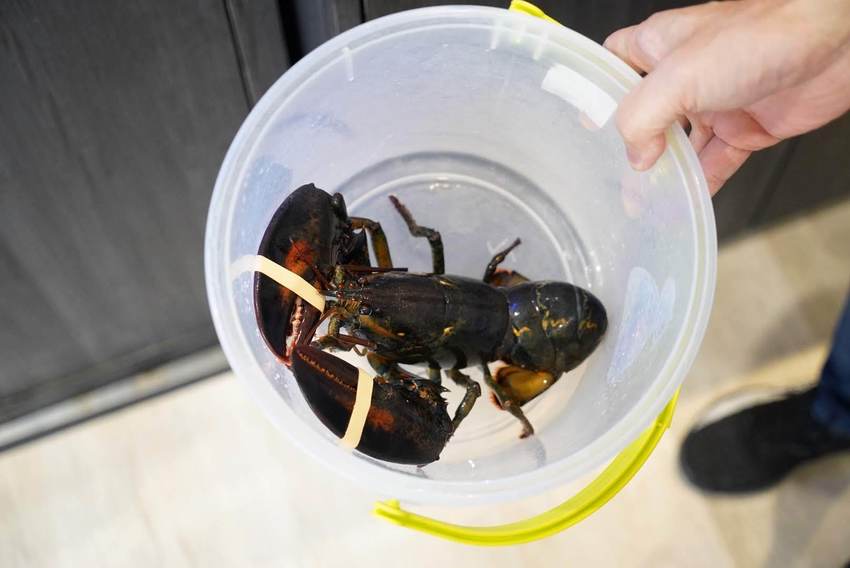 【牛鍋私藏鍋物大里店】290元起就吃得到精緻鍋物，營業至凌晨兩點！(附設免費停車場) - 阿華田的美食日記