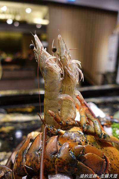 DSC07918.jpg DSC07918.jpg