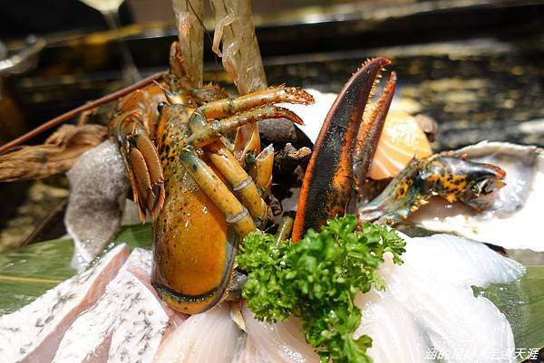 DSC07895.jpg DSC07895.jpg