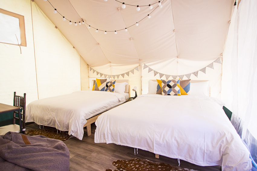 斑比跳跳X愛露營野遊體驗～免搭帳篷、獨立衛浴設備，一泊四食和牛晚餐搭配龍蝦拼盤，星空電影院、南洋風泳池，豪華露營推薦