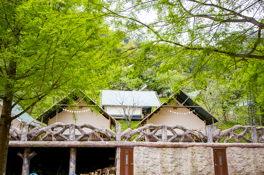 斑比跳跳X愛露營野遊體驗～免搭帳篷、獨立衛浴設備，一泊四食和牛晚餐搭配龍蝦拼盤，星空電影院、南洋風泳池，豪華露營推薦