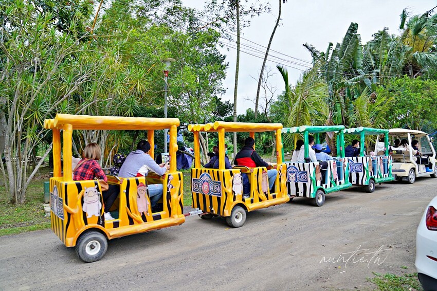 【苗栗】三灣｜斑比跳跳，頂級露營車一泊四食，郭董周董都來了，超奢華魚子醬松露Pizza，A5和牛燒肉拼盤