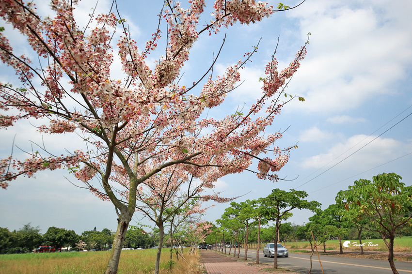 官田烏山頭水庫