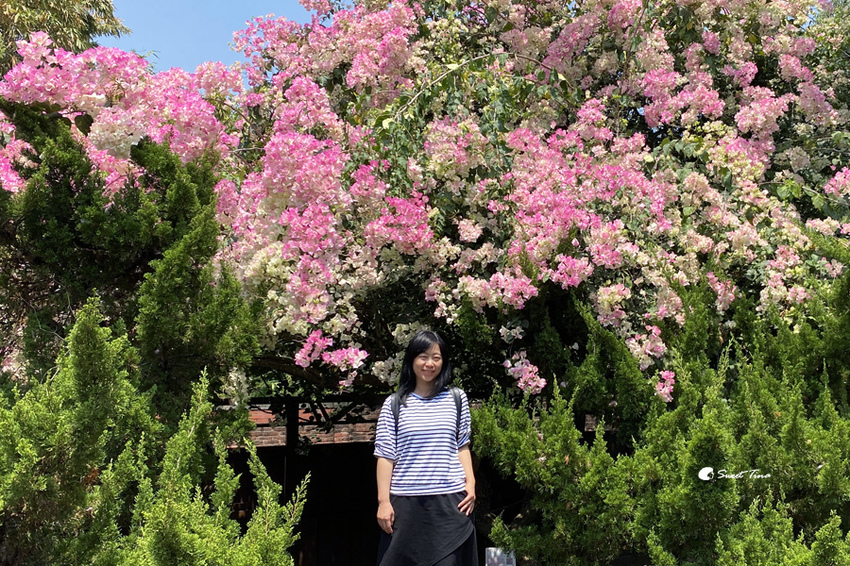 官田烏山頭水庫