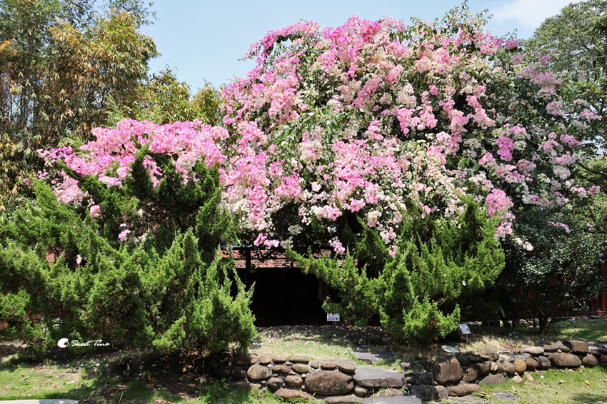 官田烏山頭水庫