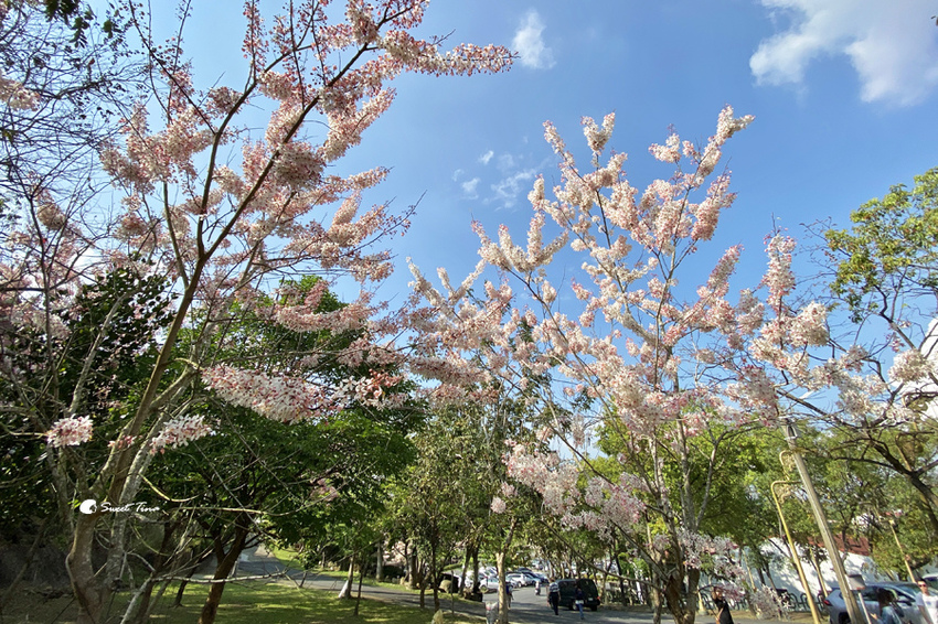 官田烏山頭水庫