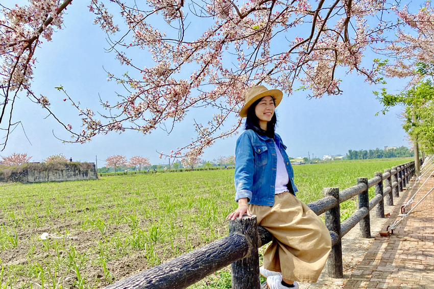 西港花旗木步道