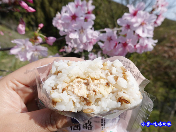 全家超級大麥-柴魚乳酪飯糰 (8).jpg