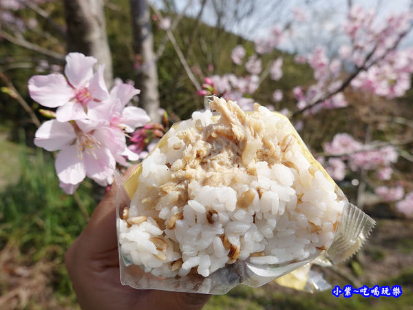 全家超級大麥-日式胡麻雞肉飯糰 (3).jpg