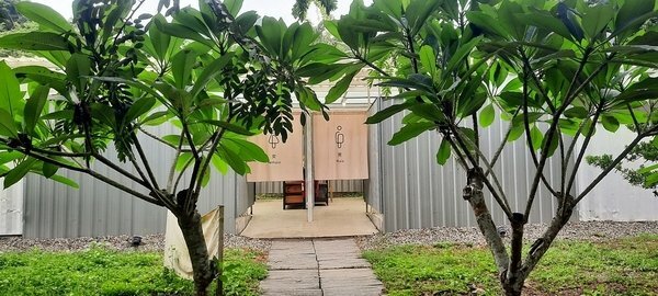 旅遊 ░   南部豪華型帳篷露營 - The Tale Of Butterfly 蝶舞澗 一泊二食， 1200多棵花旗木粉嫩登場