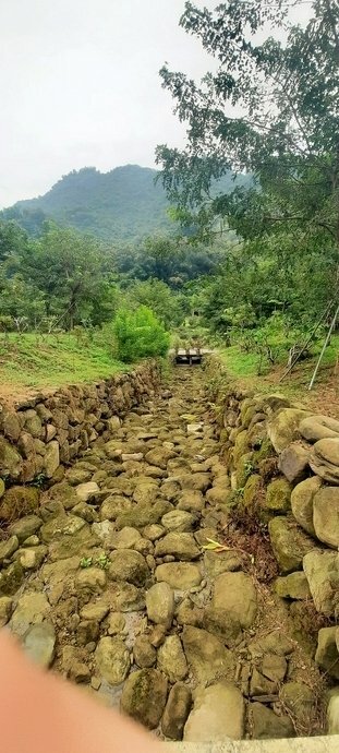 旅遊 ░   南部豪華型帳篷露營 - The Tale Of Butterfly 蝶舞澗 一泊二食， 1200多棵花旗木粉嫩登場