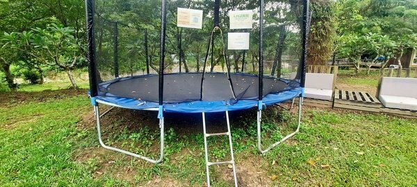 旅遊 ░   南部豪華型帳篷露營 - The Tale Of Butterfly 蝶舞澗 一泊二食， 1200多棵花旗木粉嫩登場