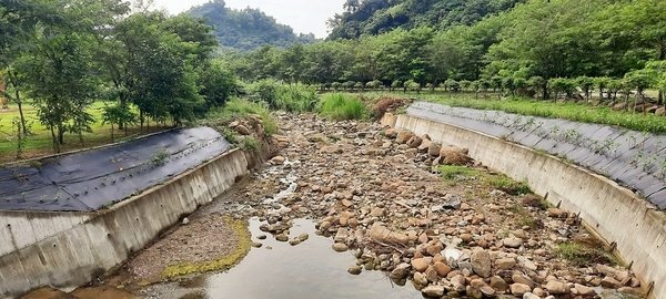 旅遊 ░   南部豪華型帳篷露營 - The Tale Of Butterfly 蝶舞澗 一泊二食， 1200多棵花旗木粉嫩登場